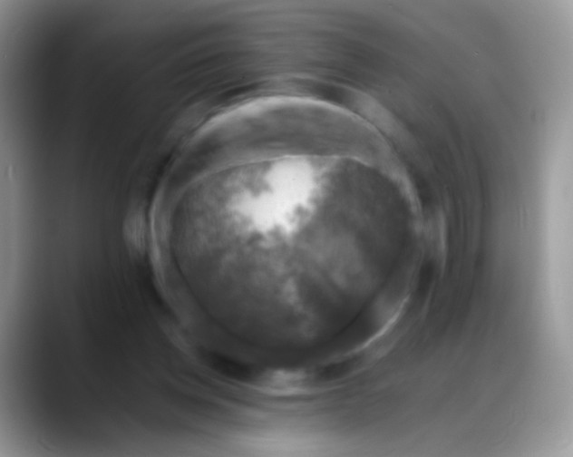 X0000088190158200705292019