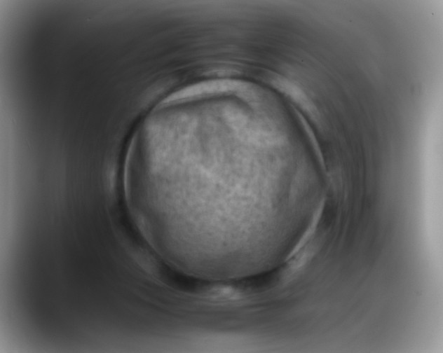 X0000088190159200705292019