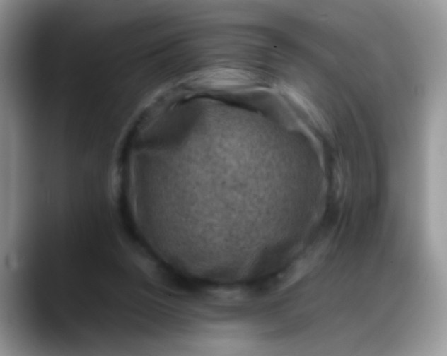 X0000088190160200705292019