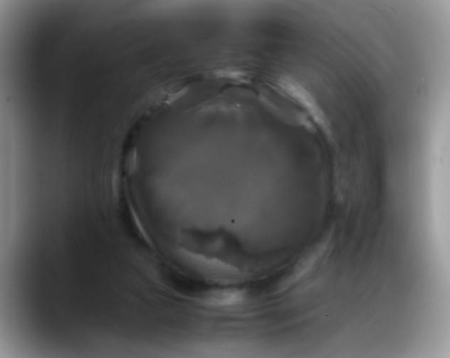 X0000088190161200705292019