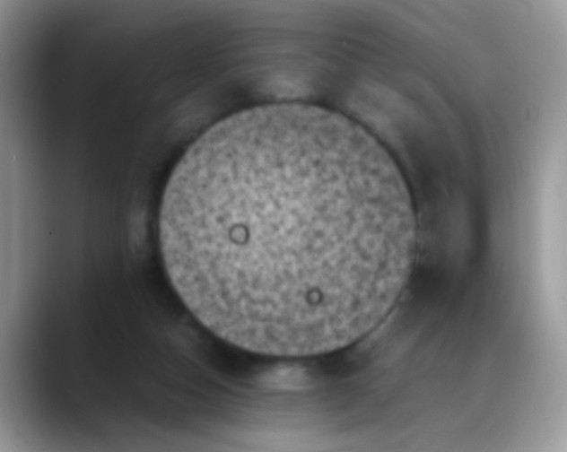 X0000088190162200705292019