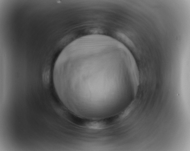 X0000088190163200705292019
