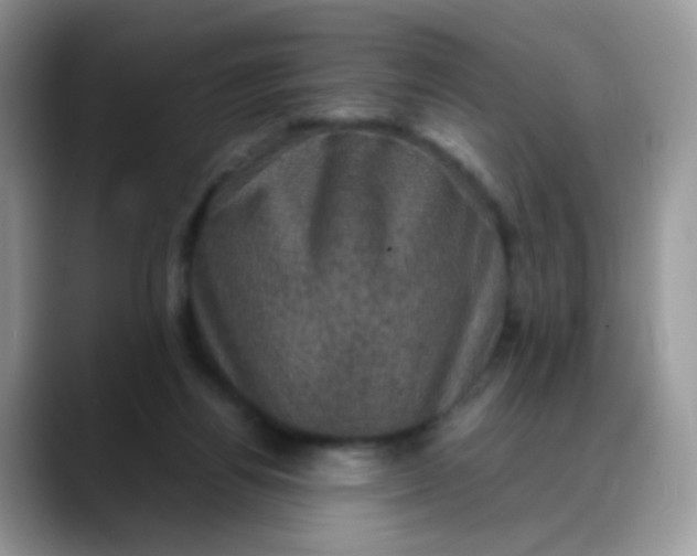 X0000088190164200705292019
