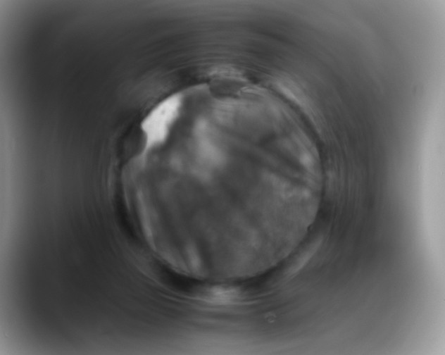X0000088190165200705292019