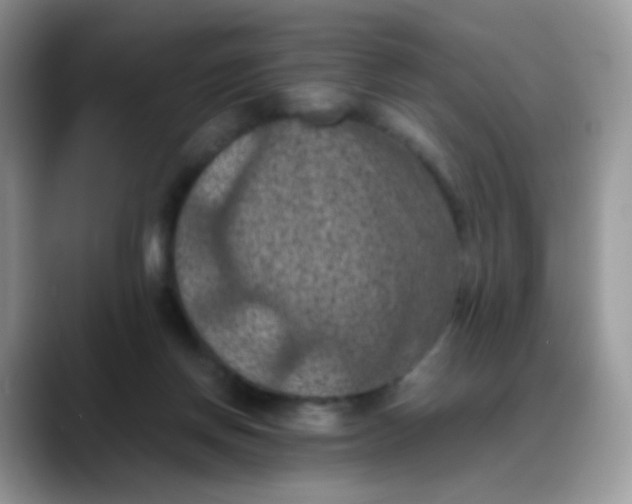 X0000088190166200705292019