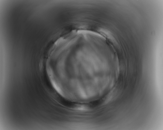 X0000088190167200705292019