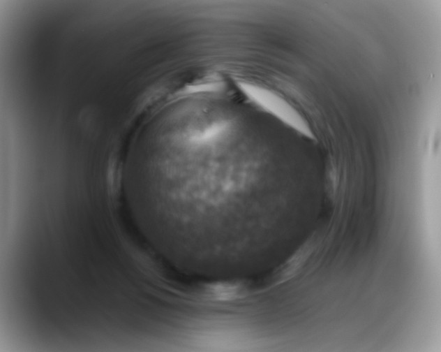 X0000088190168200705292019