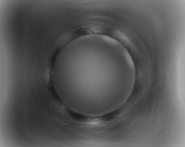X0000088190169200705292019