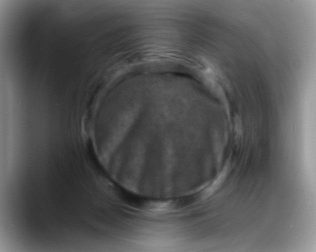 X0000088190170200705292019