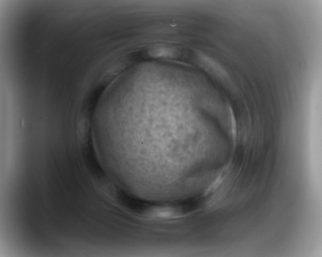 X0000088190171200705292019