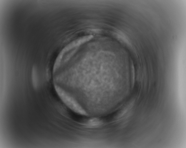 X0000088190173200705292019