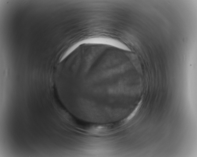X0000088190174200705292019