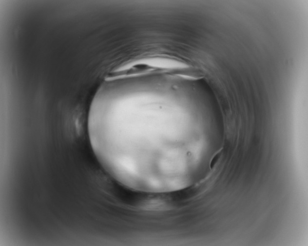 X0000088190175200705292019