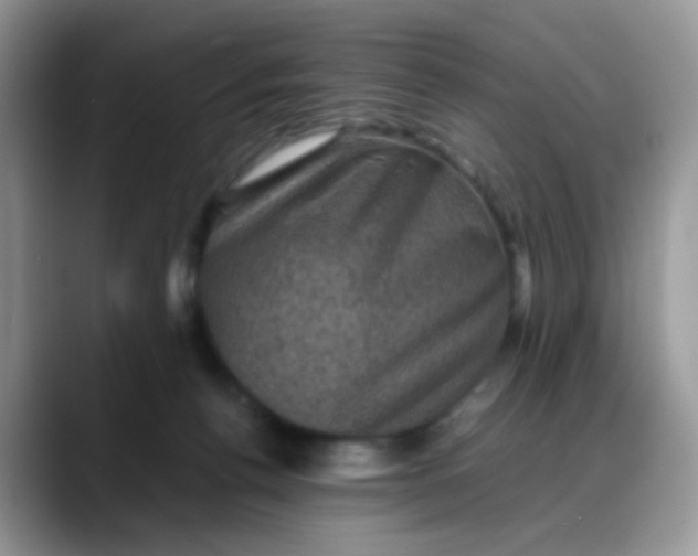 X0000088190176200705292019