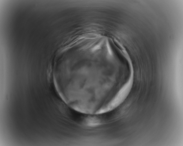 X0000088190177200705292019