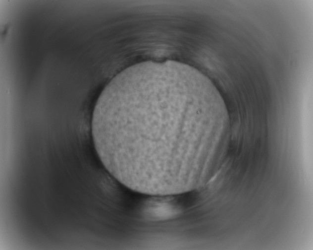 X0000088190179200705292019
