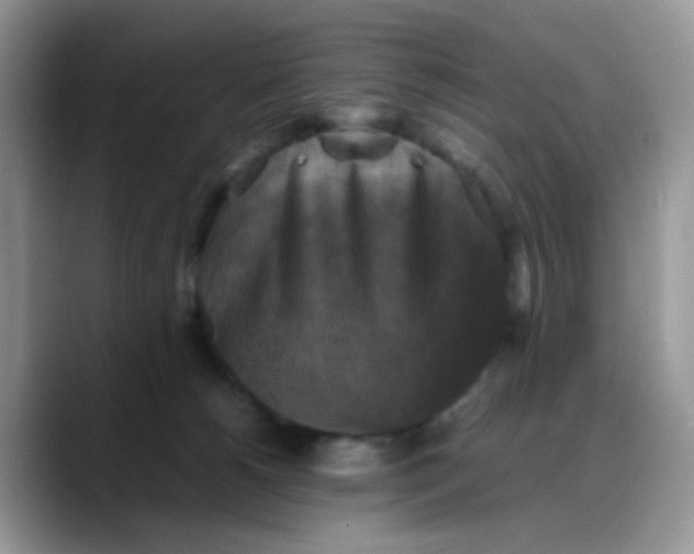 X0000088190180200705292019