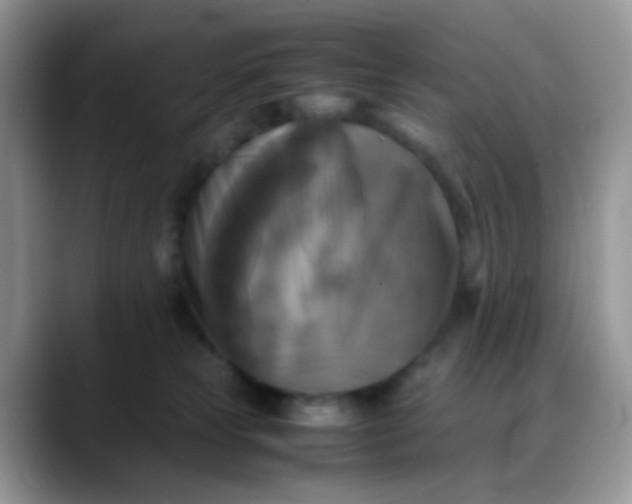X0000088190181200705292019