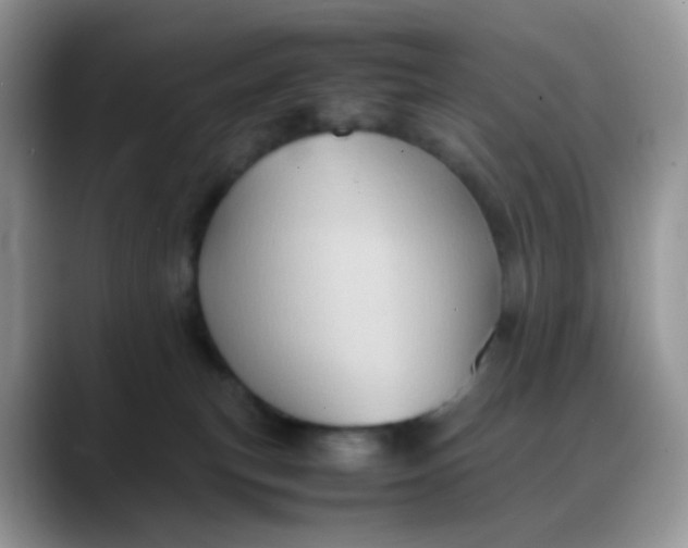 X0000088190183200705292019