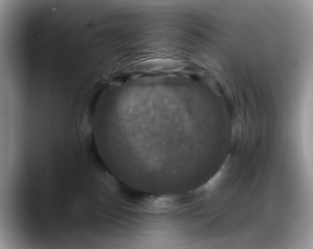 X0000088190186200705292019