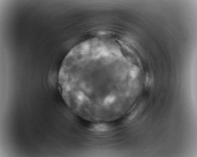 X0000088190189200705292019