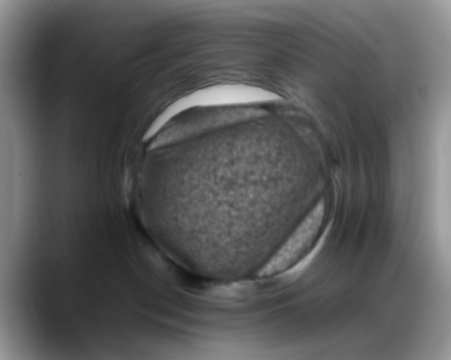 X0000088190190200705292019