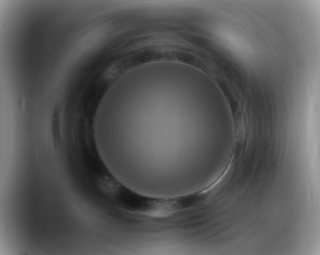 X0000088190191200705292019