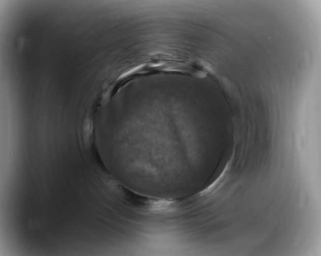 X0000088190192200705292020