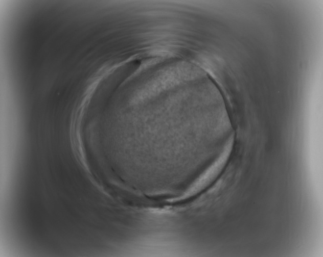 X0000088190193200705292019
