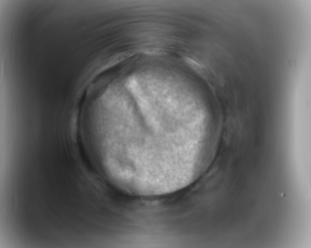X0000088190194200705292019