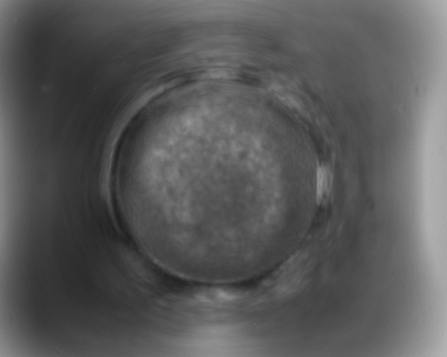 X0000088190195200705292019