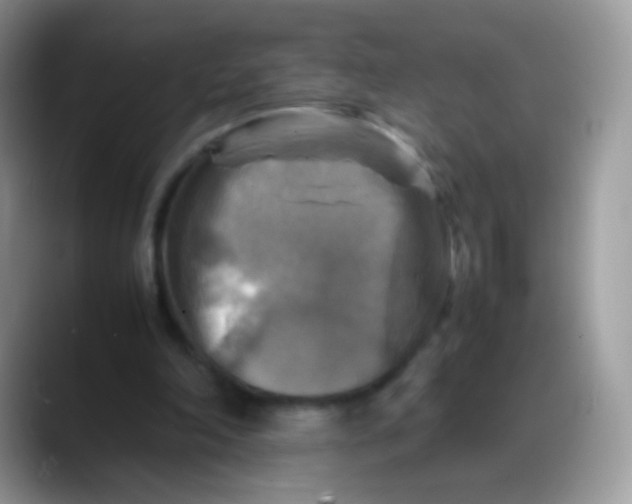 X0000088190198200705292019