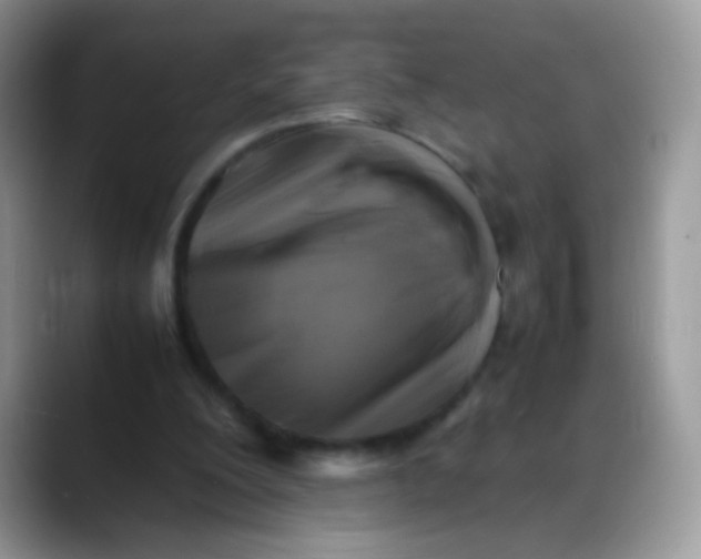 X0000088190200200705292019