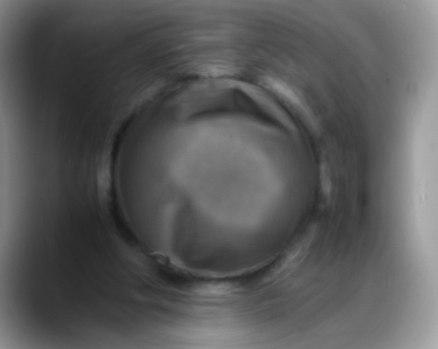 X0000088190202200705292019