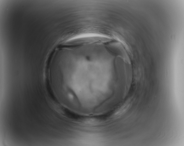X0000088190203200705292019