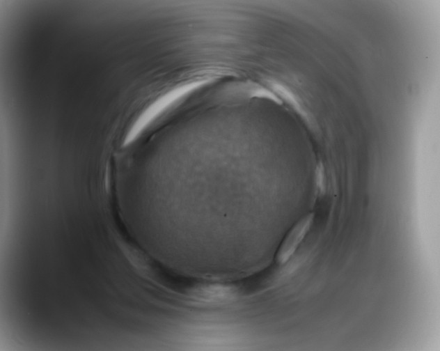 X0000088190205200705292019