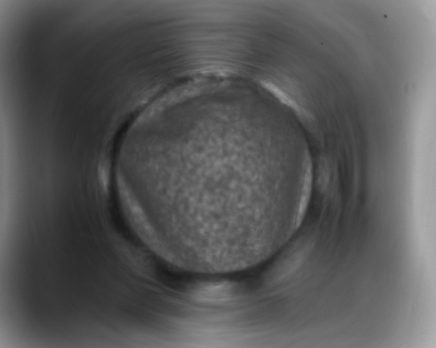 X0000088190206200705292019
