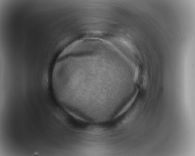 X0000088190207200705292019