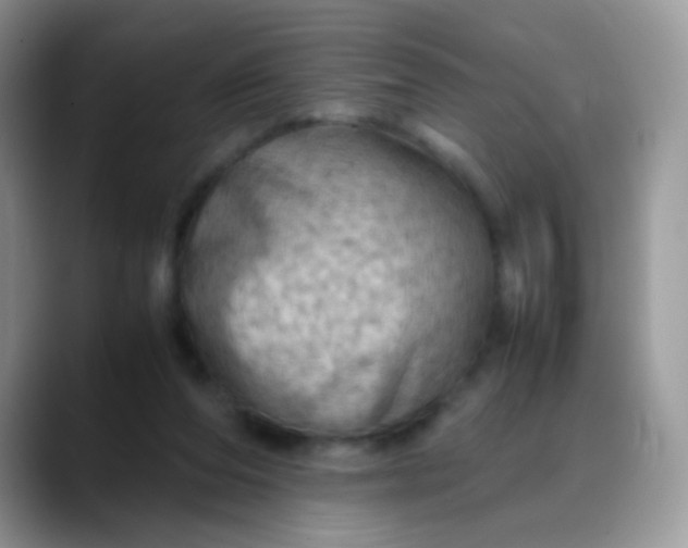 X0000088190208200705292019