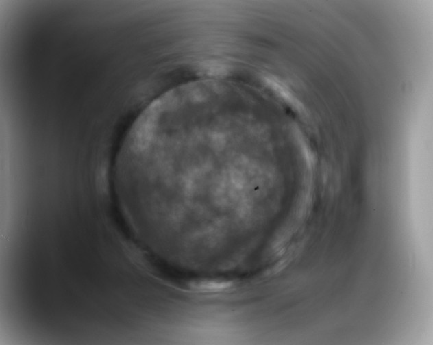 X0000088190209200705292019