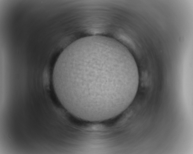 X0000088190210200705292019