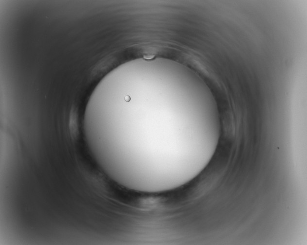 X0000088190216200705292019