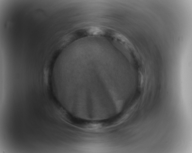 X0000088190217200705292019