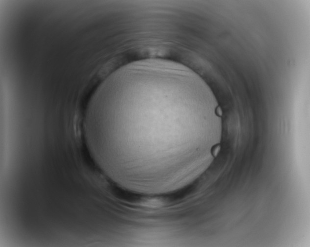 X0000088190218200705292019