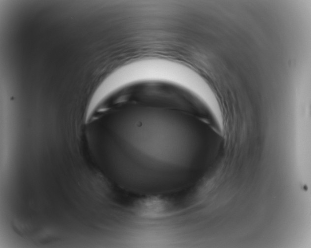 X0000088190219200705292019