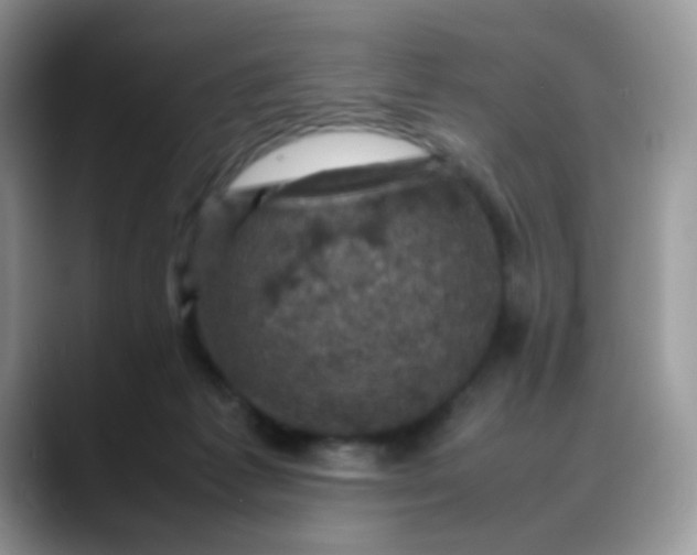 X0000088190221200705292019