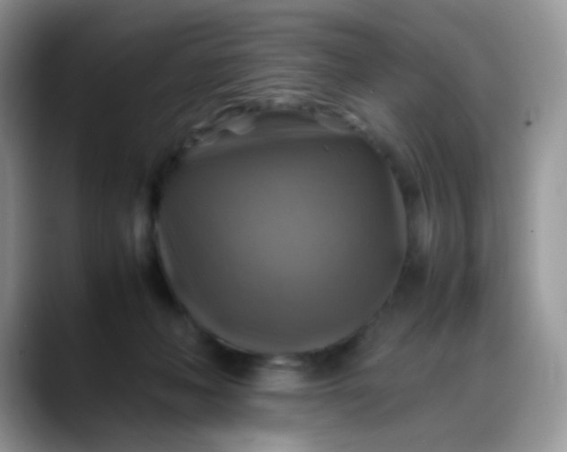 X0000088190222200705292019