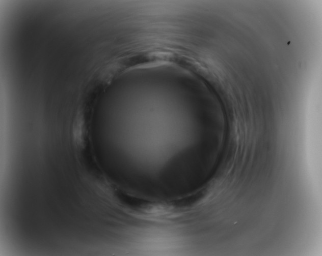 X0000088190223200705292018