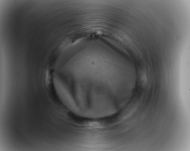 X0000088190224200705292018