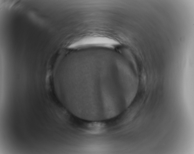 X0000088190225200705292018